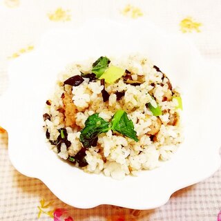 黒ニンニクと小松菜の炒飯